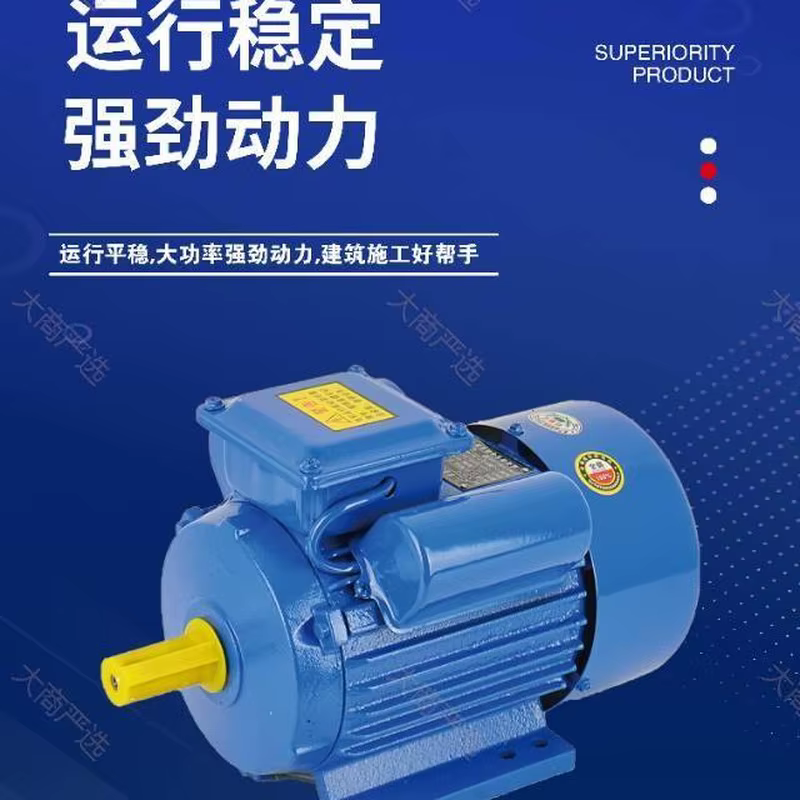 Motor/single-phase dual value asynchronous motor